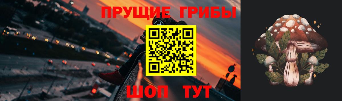 Псилоцибиновые грибы прущие грибы Красноярск